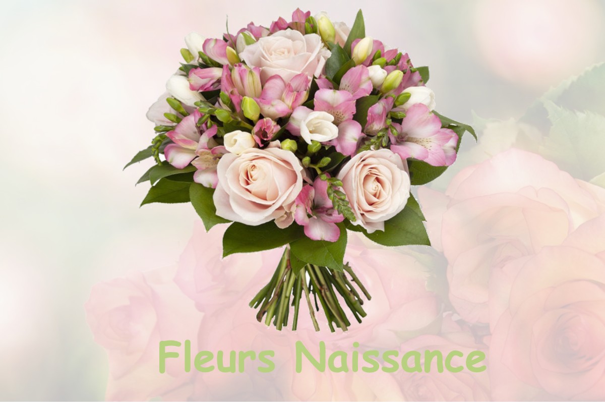 fleurs naissance SAINT-JEAN-D-AVELANNE