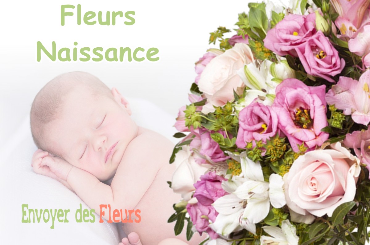 lIVRAISON FLEURS NAISSANCE à SAINT-JEAN-D-AVELANNE