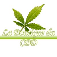 LA BOUTIQUE DU CBD SAINT-JEAN-D-AVELANNE 